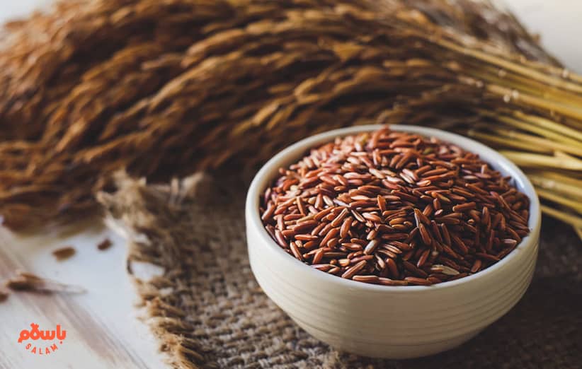 معرفی برنج قهوه ای از ارزش، خواص تا طبع و نحوه نگهداری