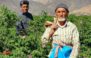 من پای دیگ بزرگ شدم