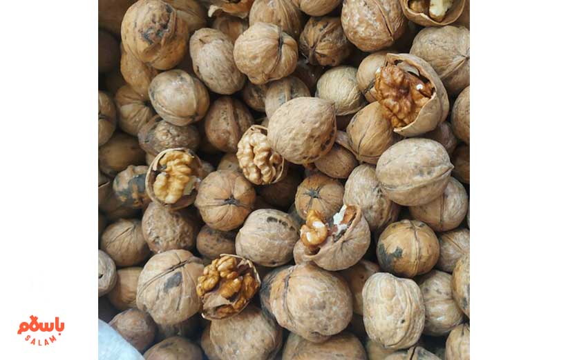 خرید و قیمت گردو از باسلام