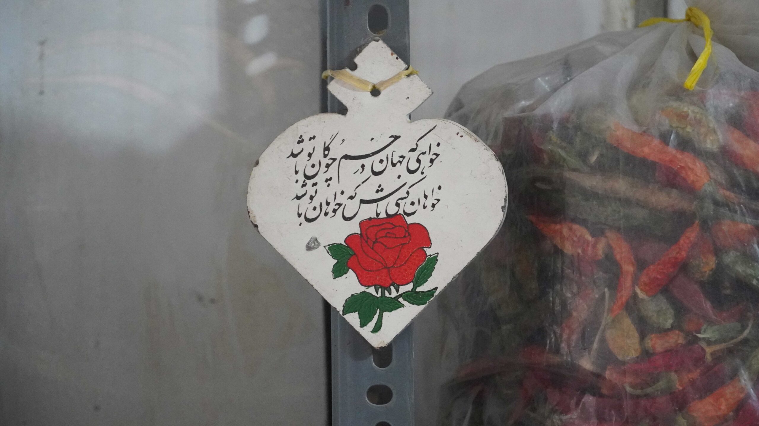 راهنمای زندگی با گیاهان دارویی