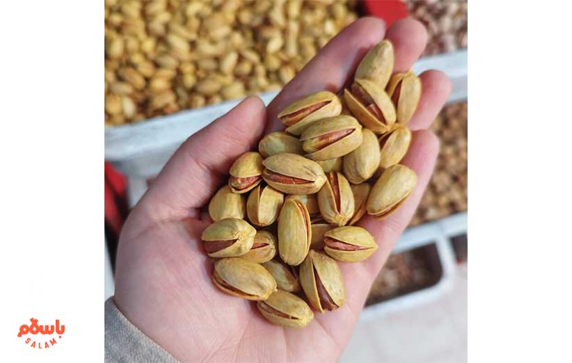 خرید و فروش و قیمت انواع پسته در بازار باسلام