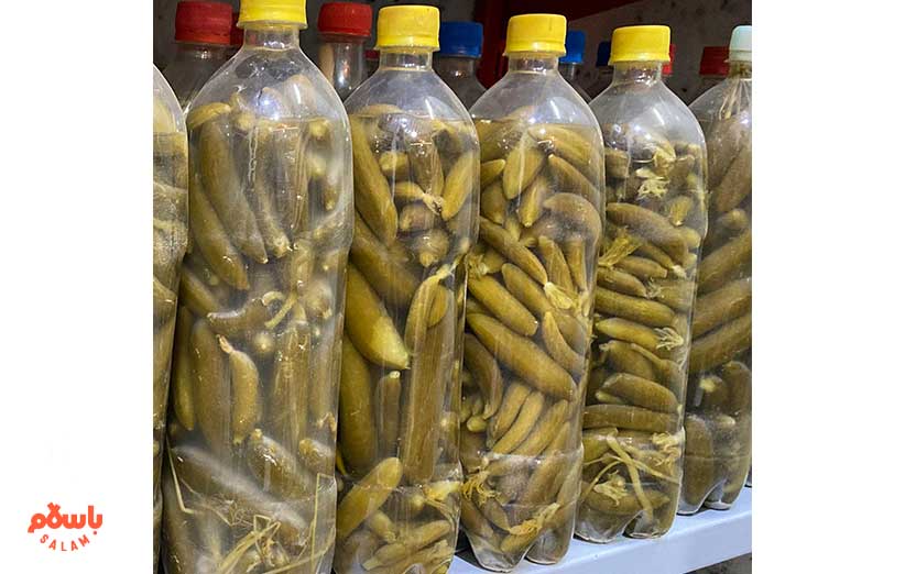 طرز تهیه خیارشور خانگی در بطری نوشابه