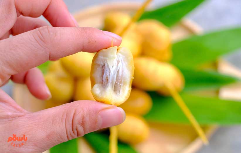 انواع خرما در ایران [40 خرما]