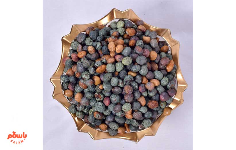 پسته کوهی