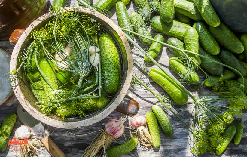 مراحل تهیه خیارشور خانگی یک روزه