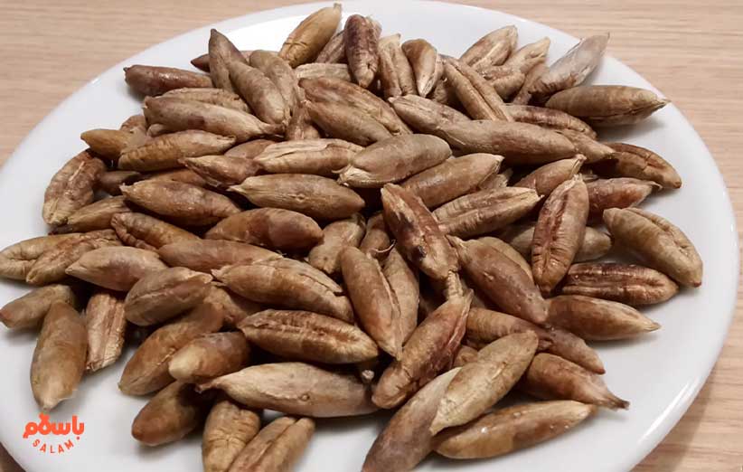 جدول ارزش غذایی هسته خرما