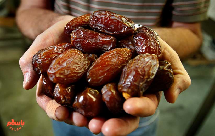 کدام خرماهای ایرانی بیشتر از بقیه تولید می‌شوند؟