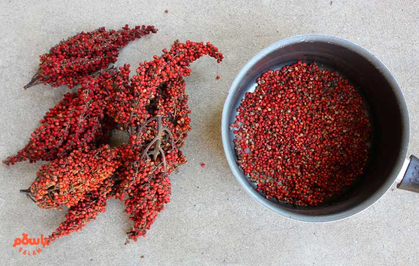 عوارض جانبی و مضرات سماق