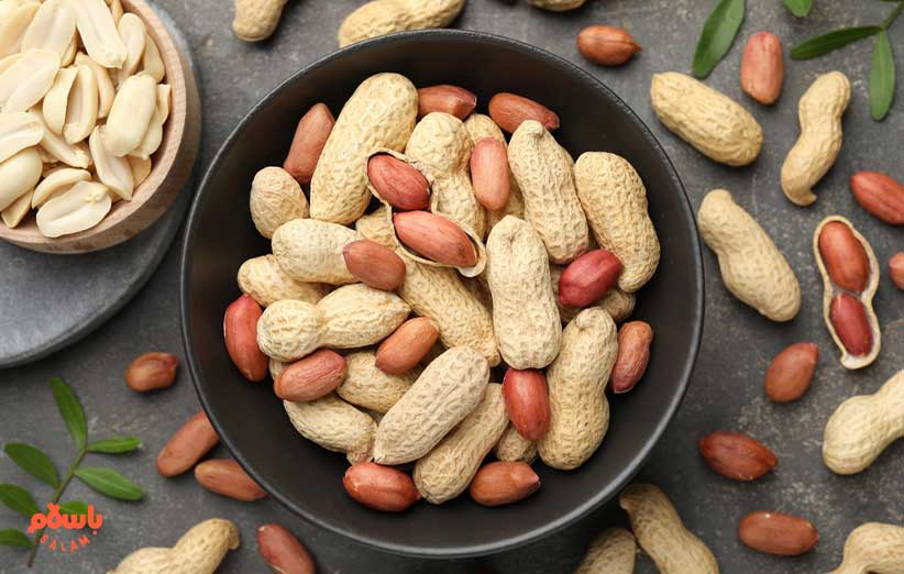 انواع عرضه بادام زمینی