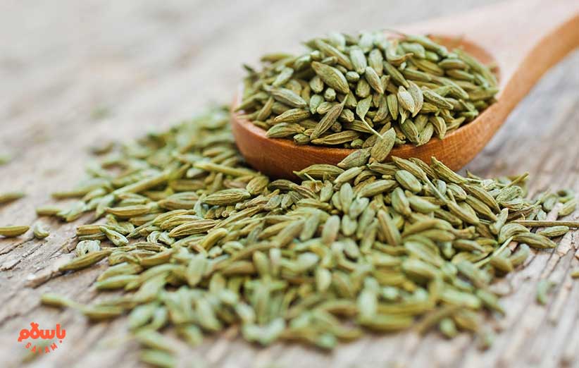 خواص رازیانه برای حافظه