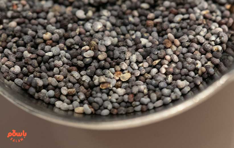 خواص دانه چیا برای لاغری