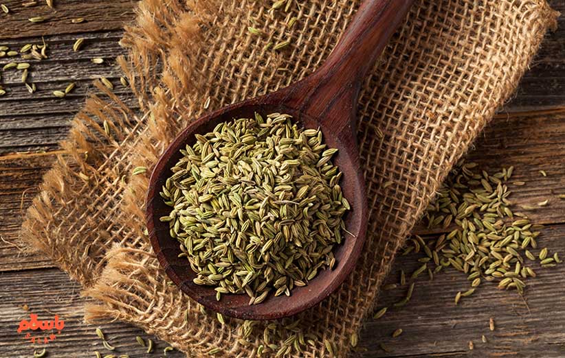 انواع رازیانه کدام است؟