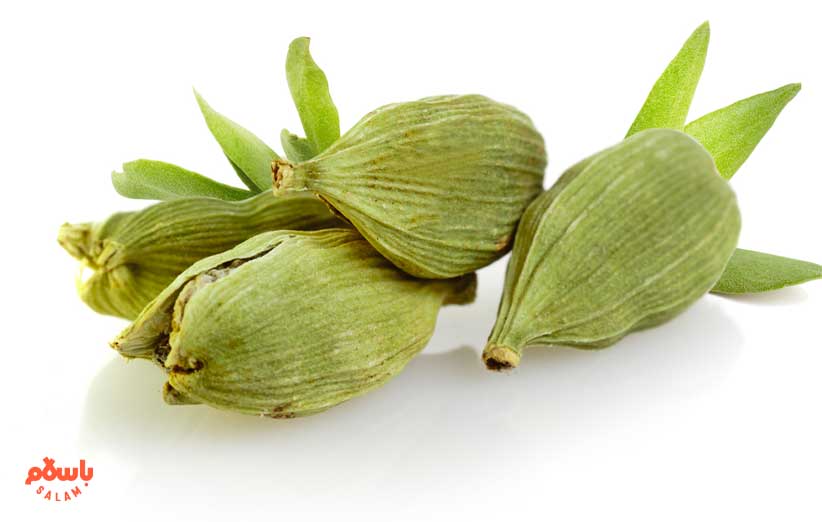 خواص هل در رفع اختلالات ادراری