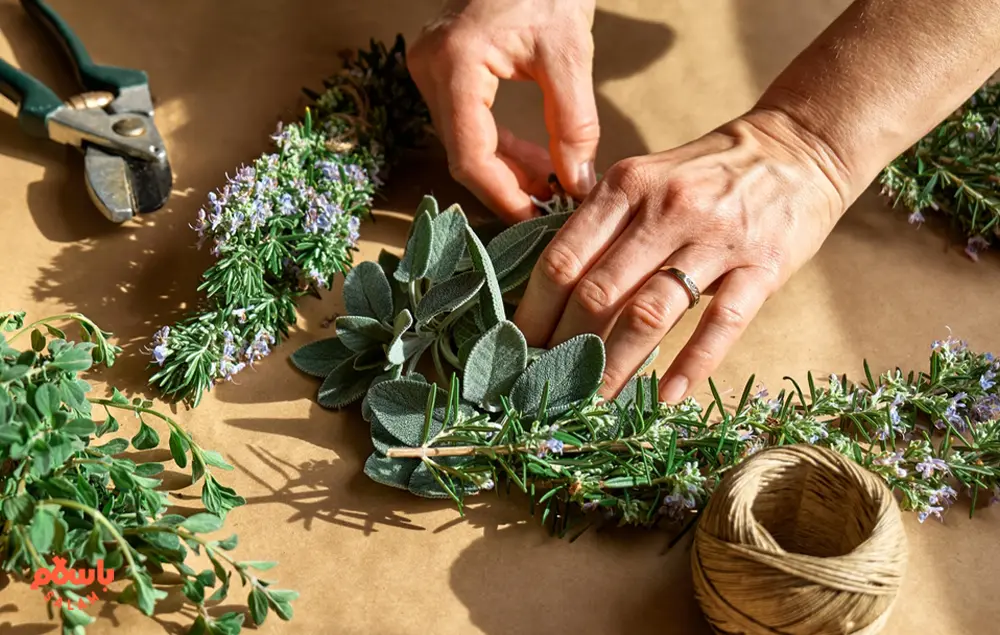 انواع دمنوش گیاهی ساده