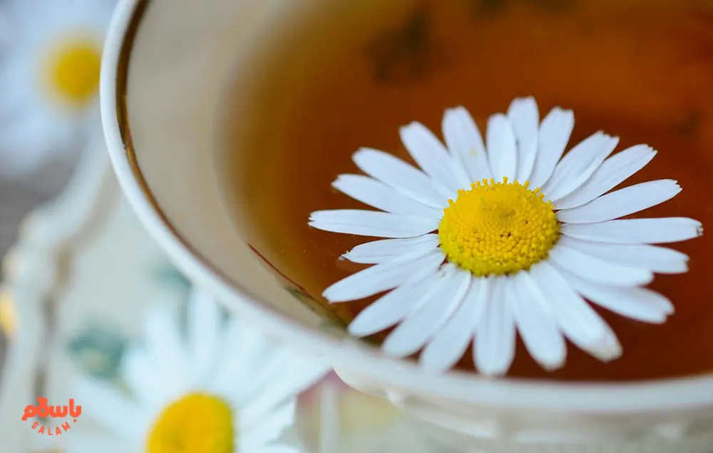 خواص دمنوش بابونه برای پریود شدن