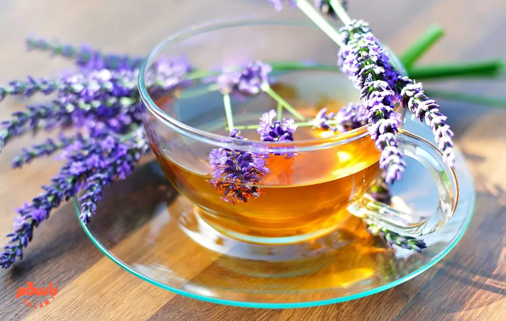 دمنوش گیاهی اسطوخودوس