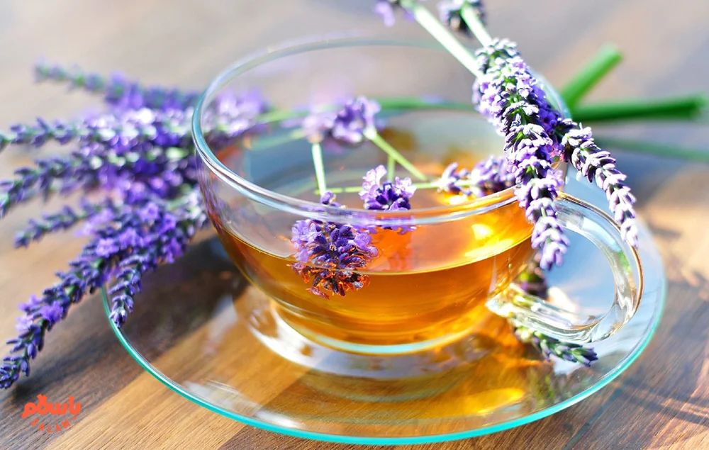 خواص دمنوش گل گاوزبان برای فشارخون
