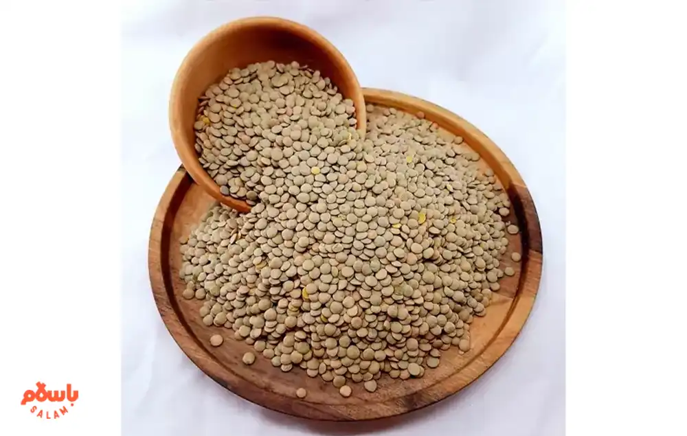 خرید و فروش عدس در باسلام