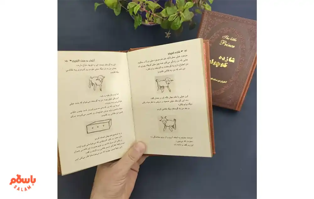 معرفی کوتاه کتاب شازده کوچولو