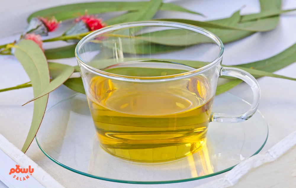 موارد احتیاط مصرف دمنوش اکالیپتوس
