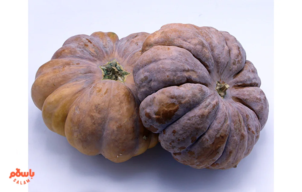 حلوای کدو حلوایی