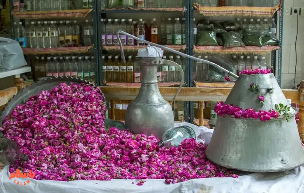 روز گل محمدی و گلاب