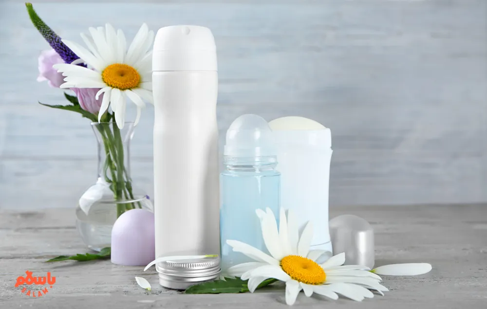 راهنمای انتخاب بهترین مارک مام برای خانم‌ها و آقایان