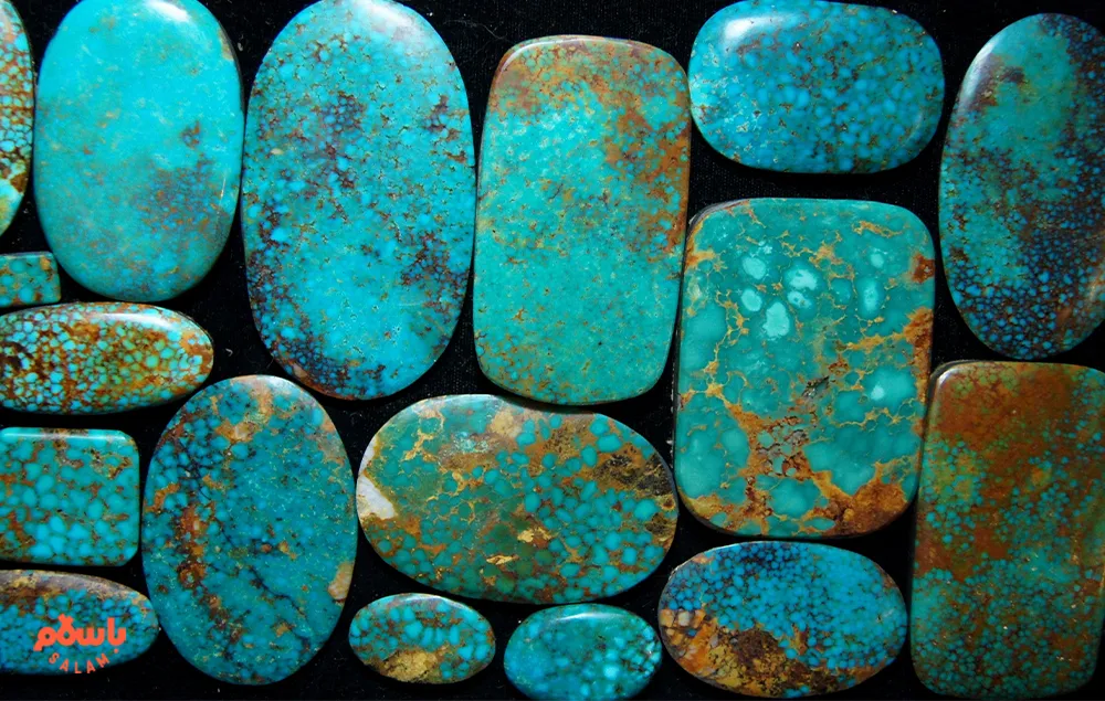 فیروزه شجری بهتره یا عجمی
