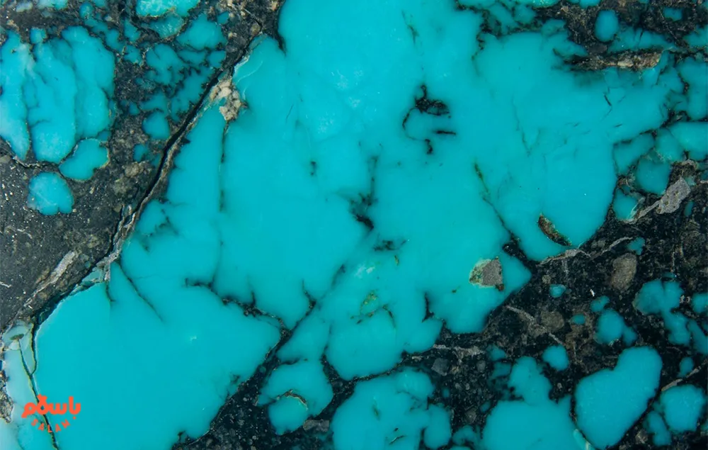 فیروزه شجری نیشابور
