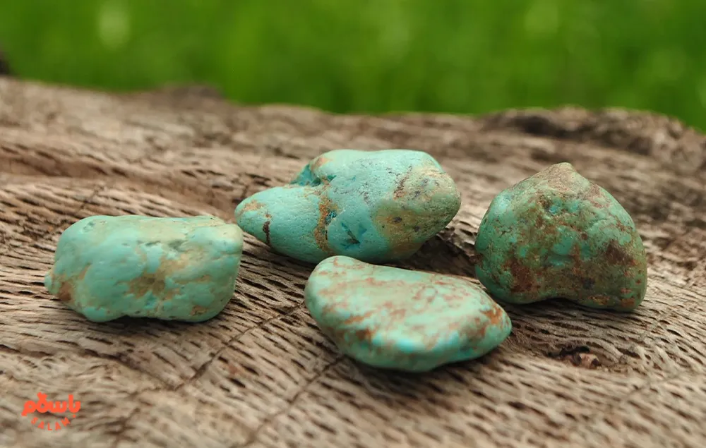 تشخیص فیروزه اصل
