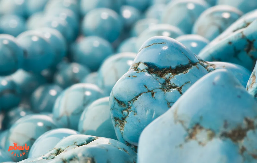 فیروزه شجری نیشابور
