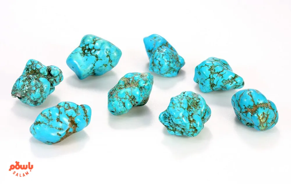 فیروزه عجمی اصل
