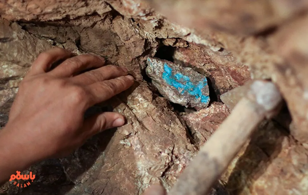 فرق فیروزه عجمی با شجری
