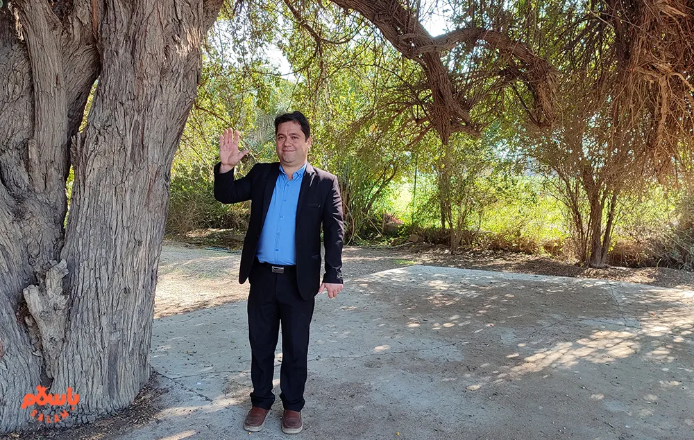 زیر سایه امن سدر