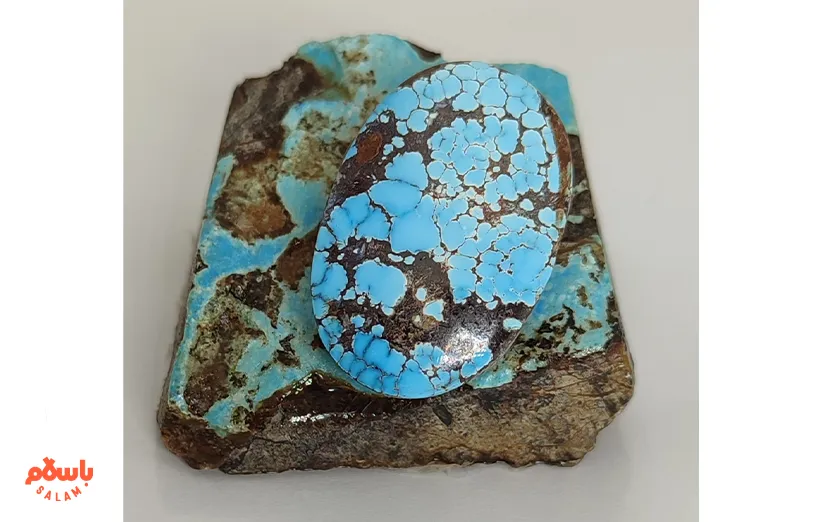 فیروزه آبی آمریکایی  
