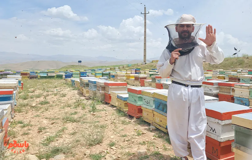 و خدا سوره‌ای به نام زنبور سرود