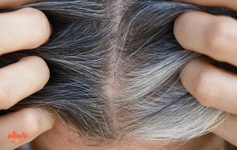 بهترین رنگ مو برای موهای سفید
