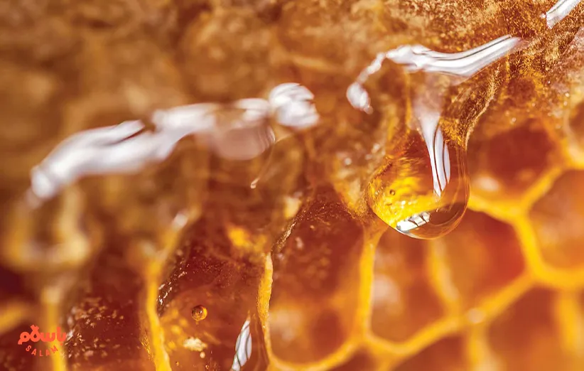 فواید عسل کنار 
