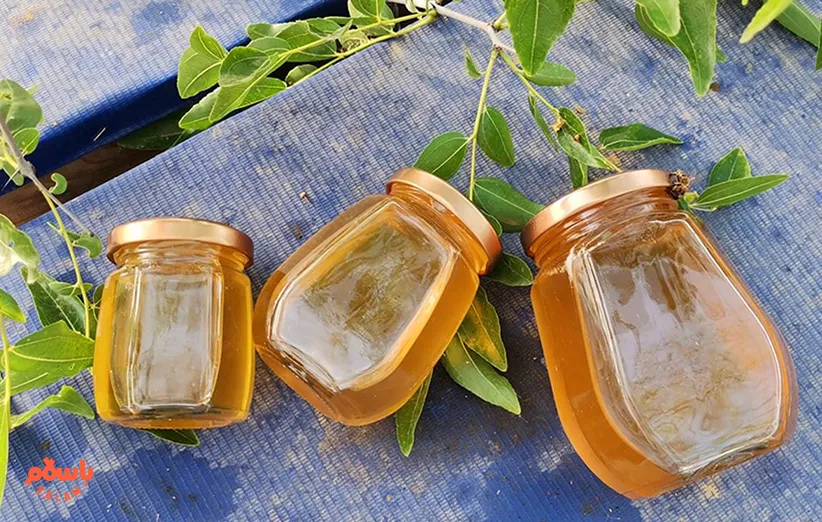 عسل کنار چیست و چه فوایدی دارد؟