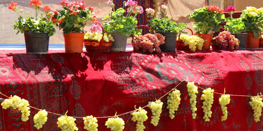 جشنواره انگور در روستای درسجین ابهر